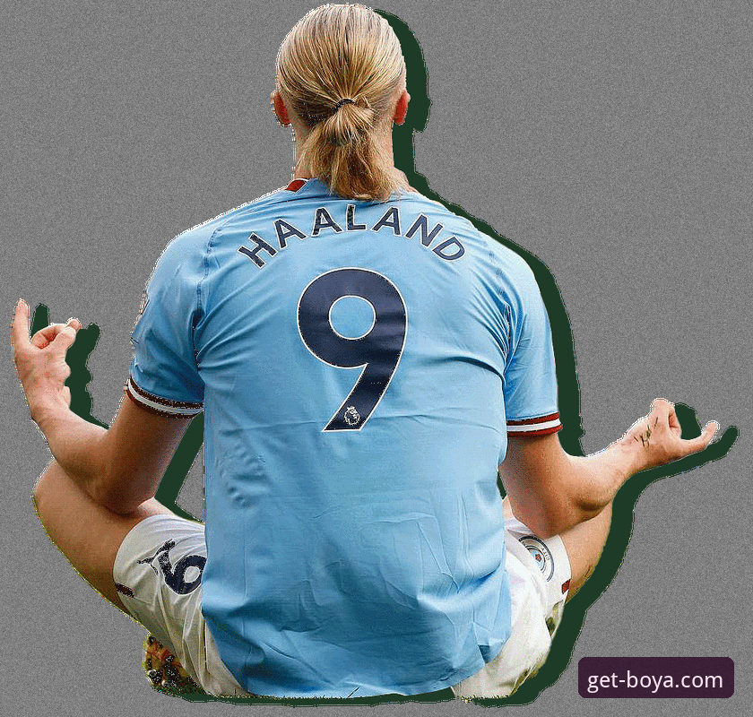 意大利连续三届无缘世界杯，资深球迷如何通过博亚娱乐平台追踪赛事动态？